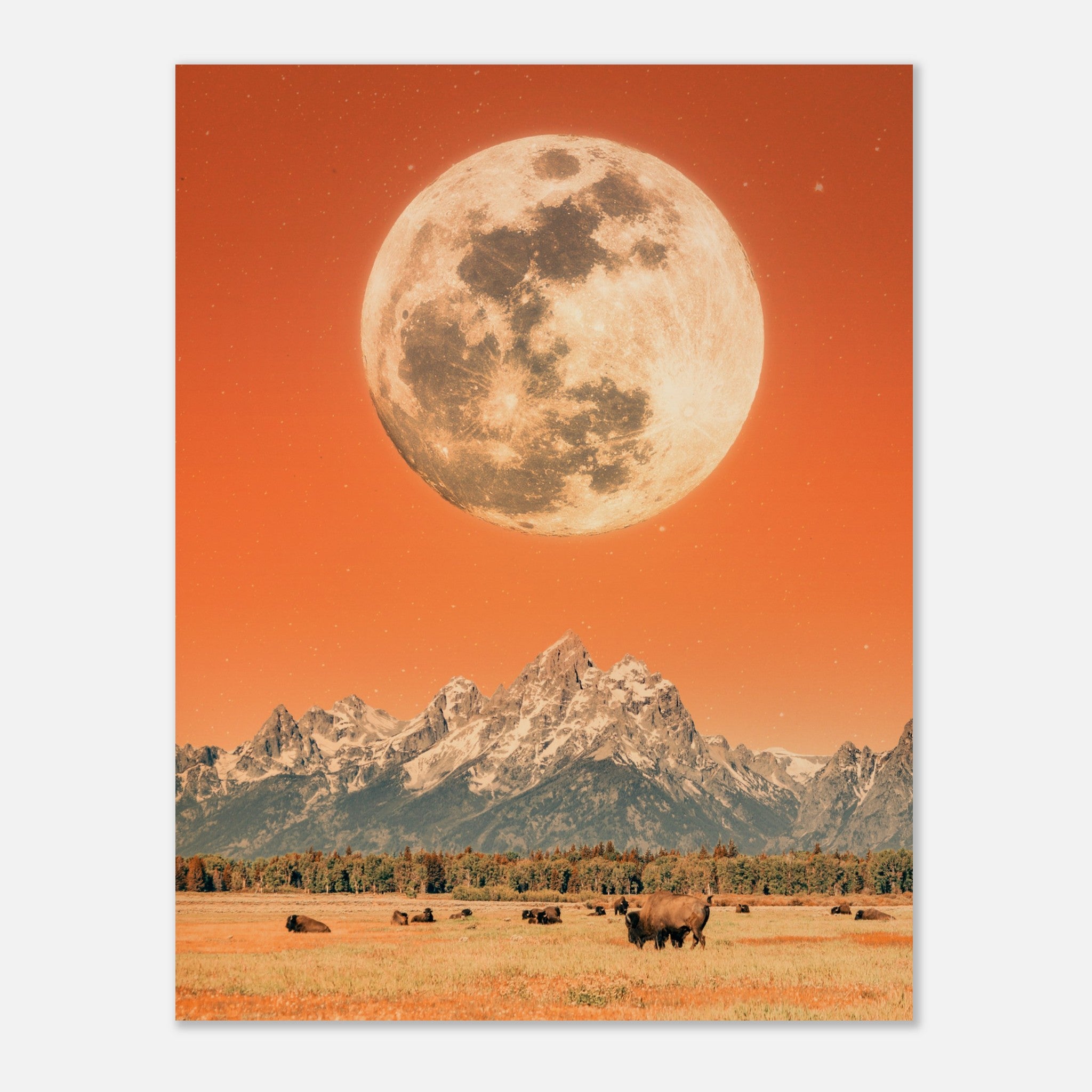 0cd354cb-d142-4242-92e1-f449a2db3f68