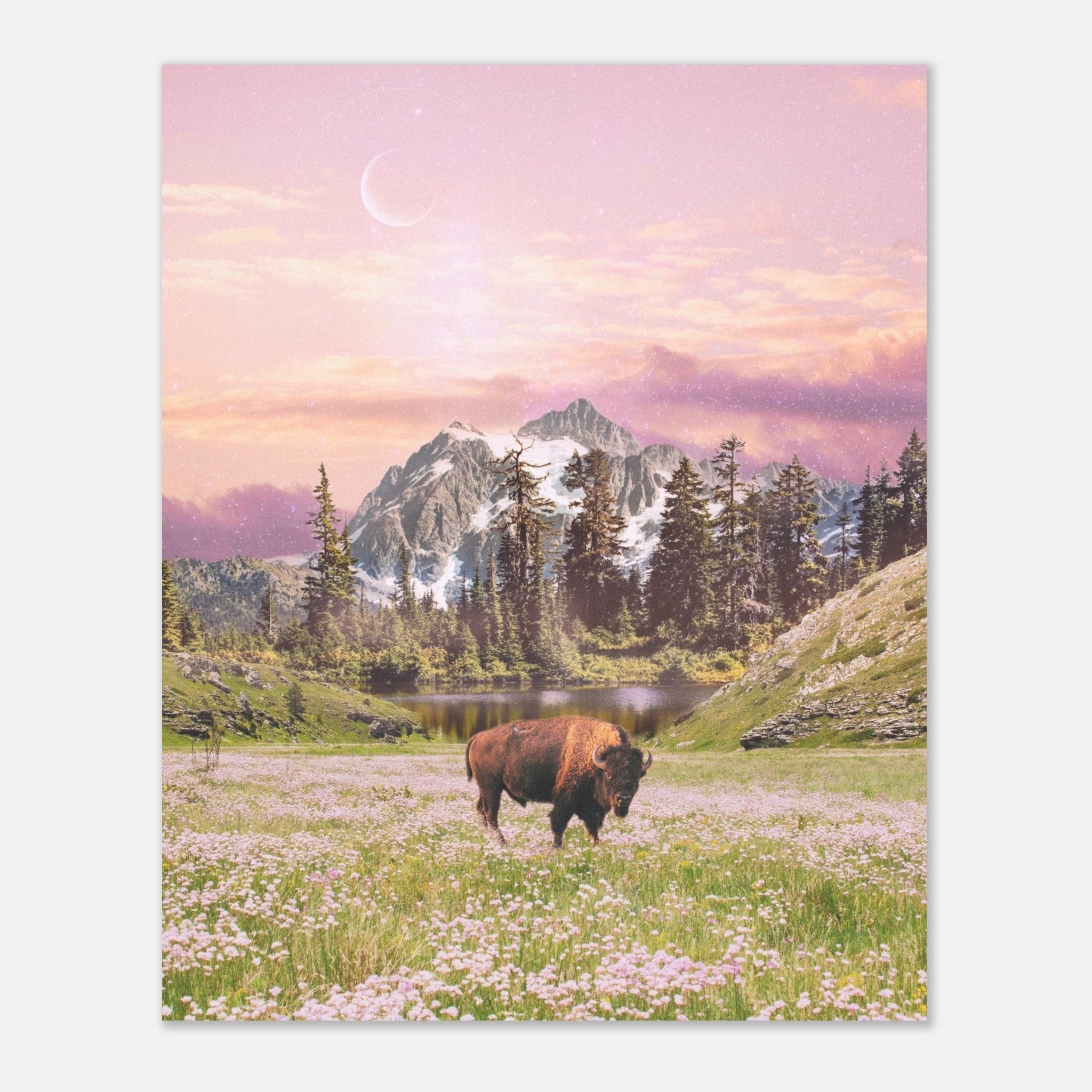 29c525c4-e7b3-492c-82e5-27ac12b201b5