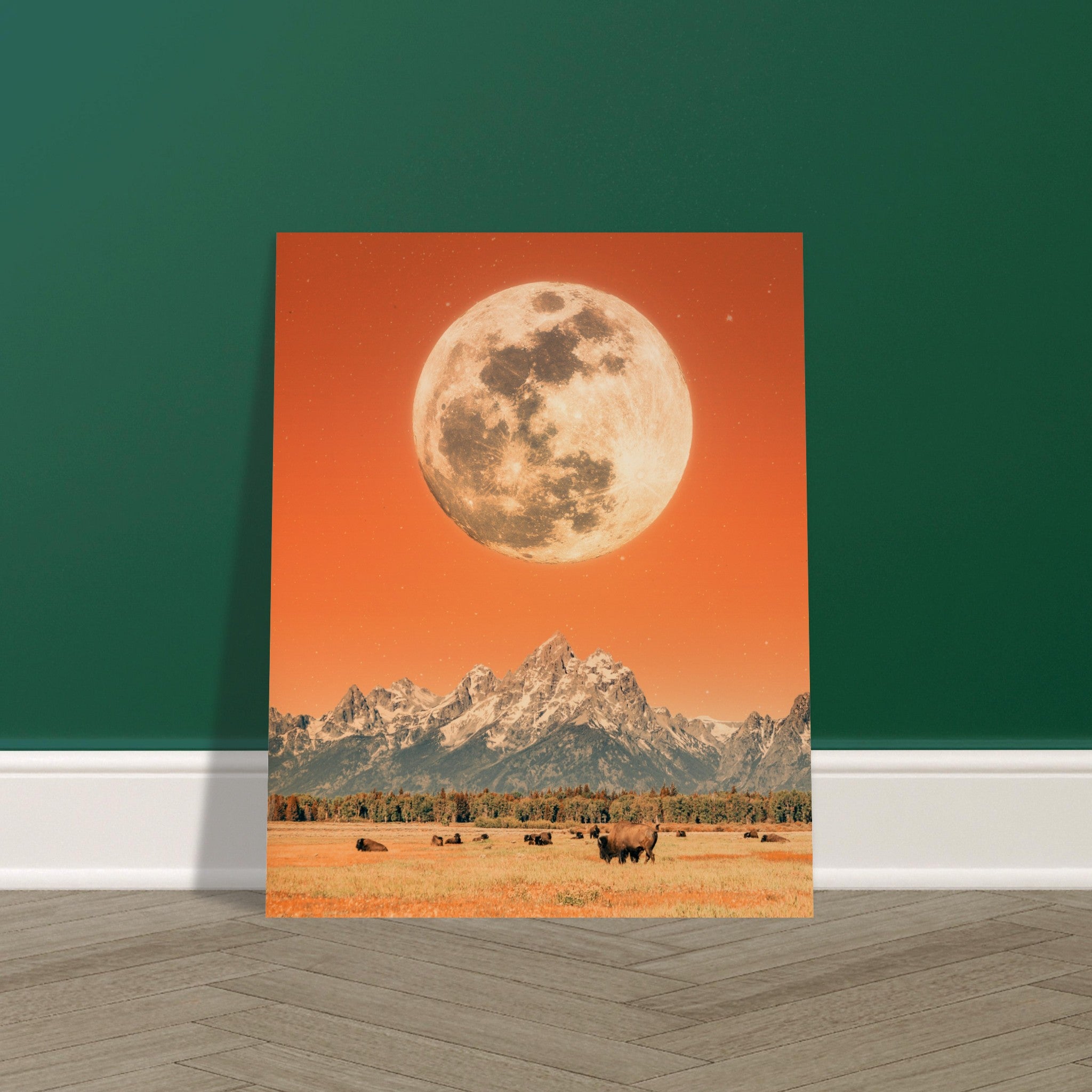 77fc1bba-8f9b-48b2-8e05-6a8b2ce83fe7