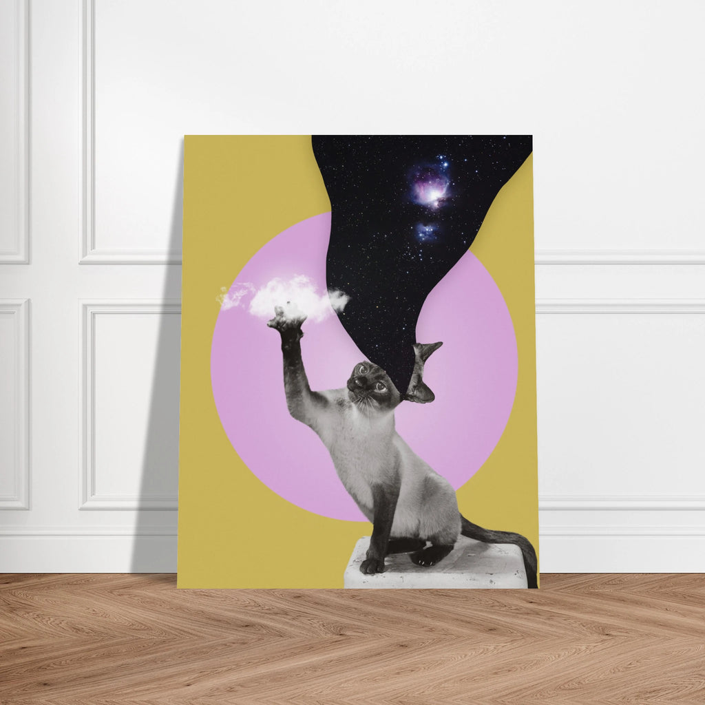 85bb7e47-aef7-4b52-9967-0613123a0f04