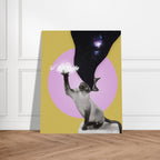 85bb7e47-aef7-4b52-9967-0613123a0f04