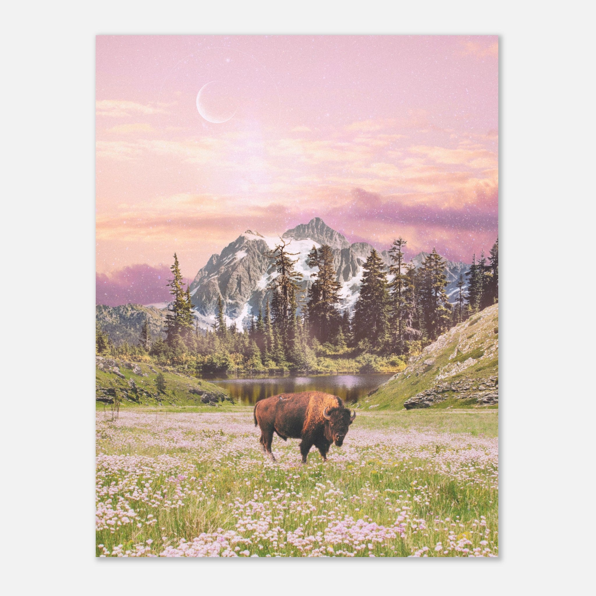 a1b7d353-0568-4834-8190-715fdea08b40