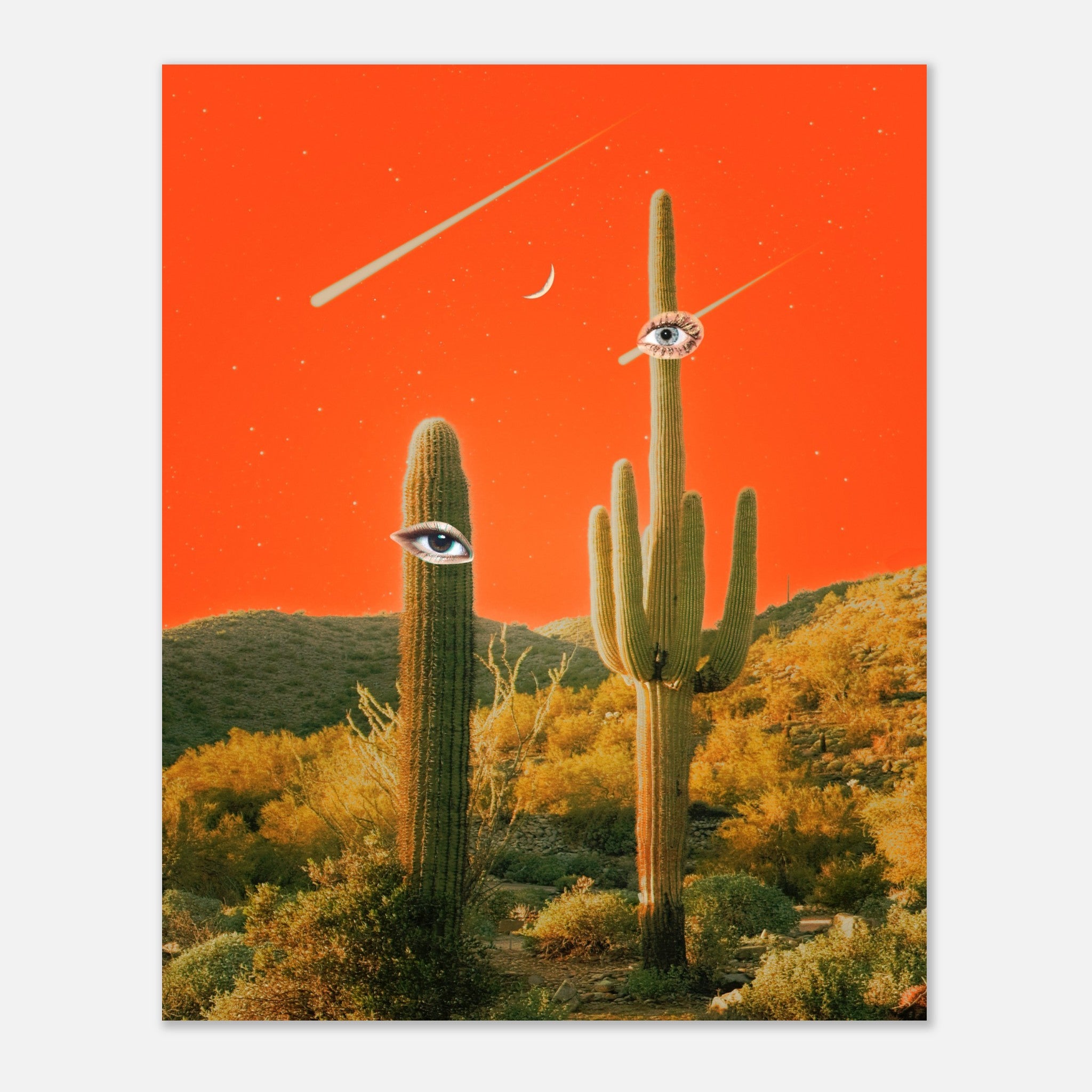 ab213863-e3d9-41c5-91f3-c73ceb7b5946