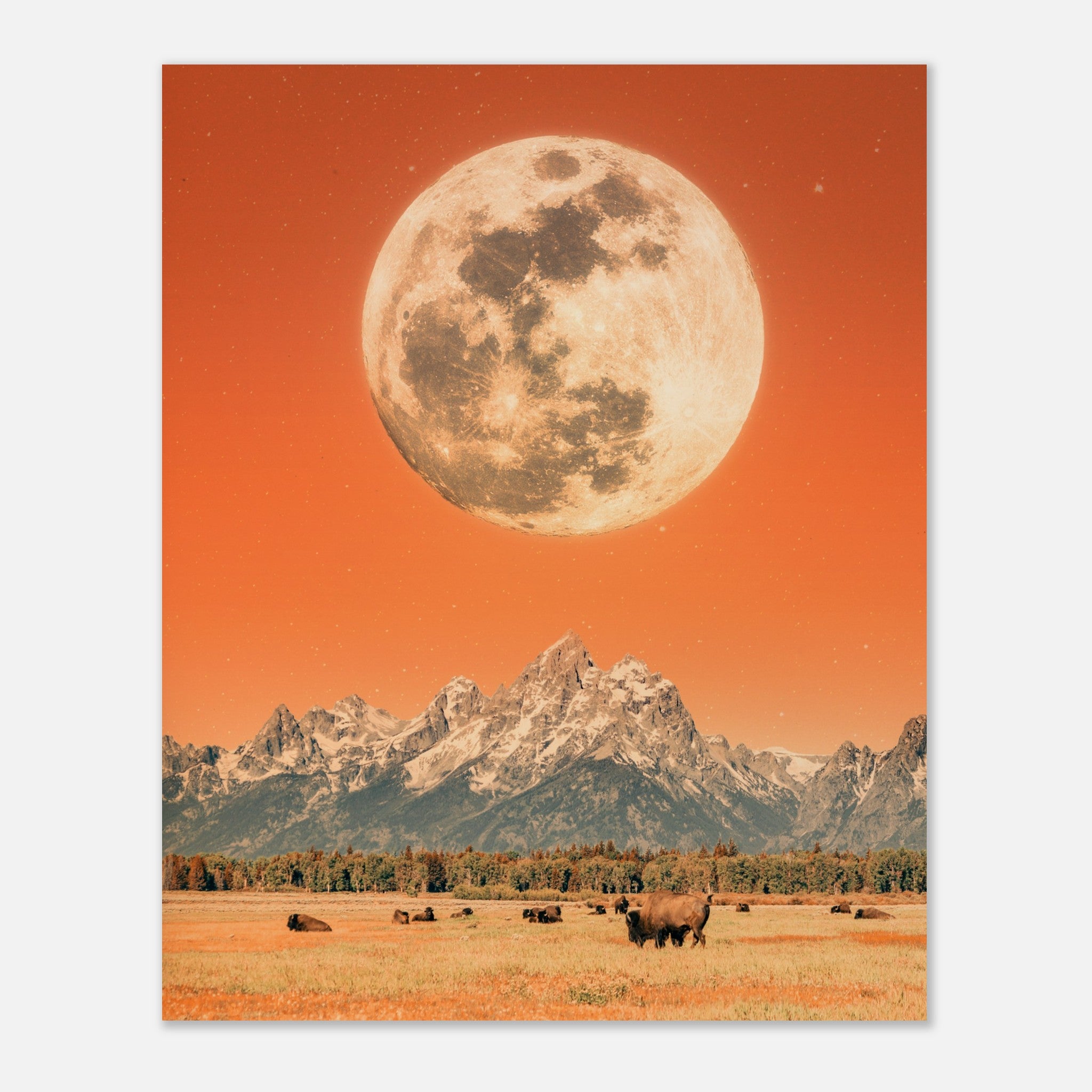 d71907b6-8cde-4a4d-a9b5-e876fffc2576