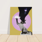 dd952c73-b3b6-4406-b4ba-99a1d7c935cf