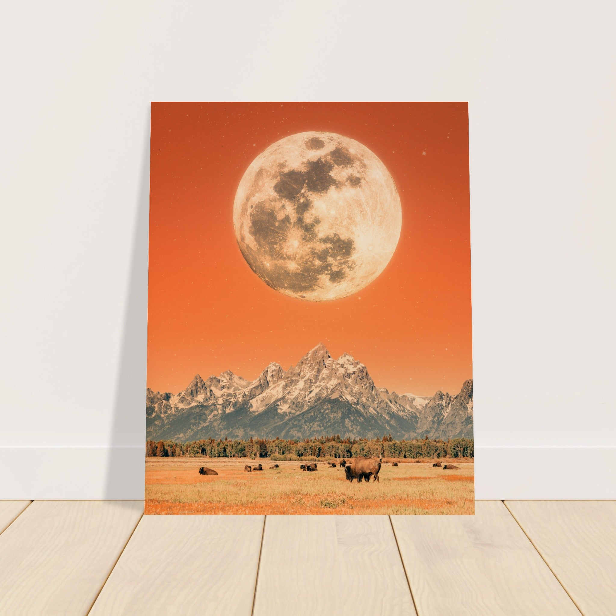 e4c3c236-4c9d-446b-835d-7d6e15f3c1ff